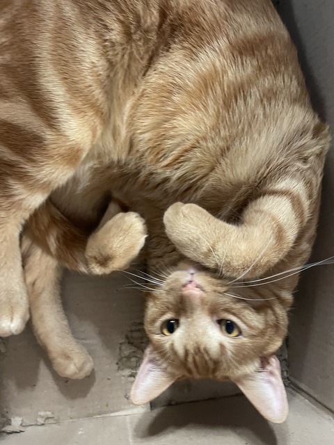 KakaoTalk_20230809_105906425