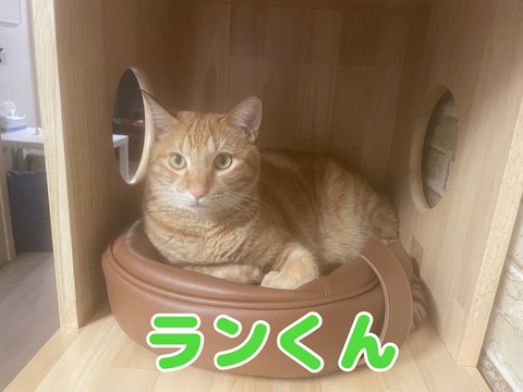 KakaoTalk_20230912_115306013
