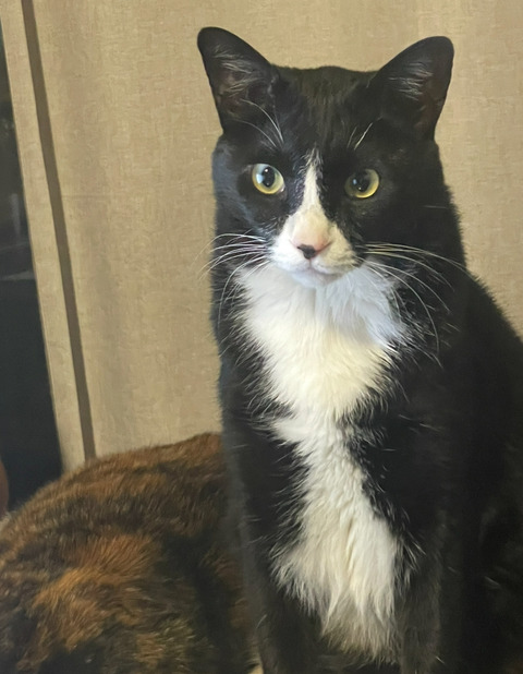 KakaoTalk_20250720_143210793_05