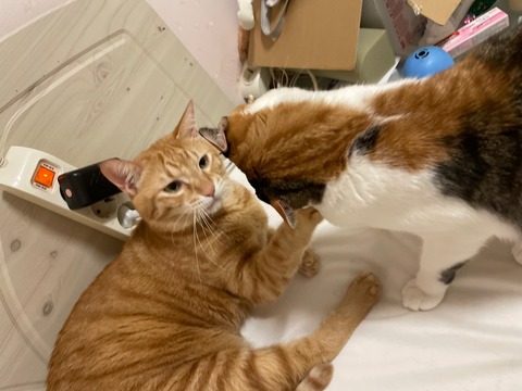 KakaoTalk_20240114_213943627_07