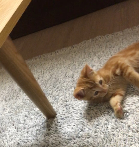 KakaoTalk_20250523_212152244_01