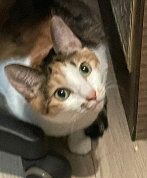 KakaoTalk_20250907_123020748