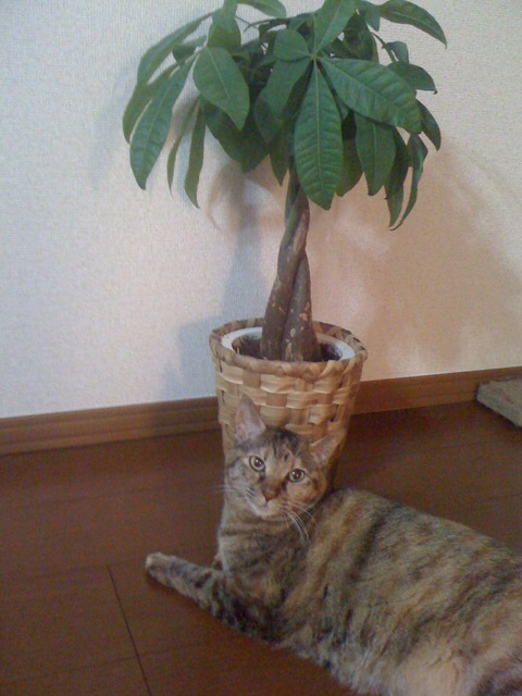 KakaoTalk_20250907_213007288