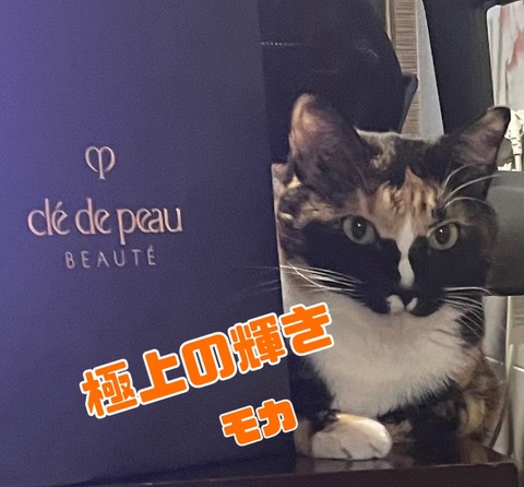 KakaoTalk_20250506_101116867_01