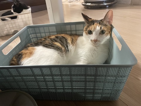 KakaoTalk_20231223_112835256_03