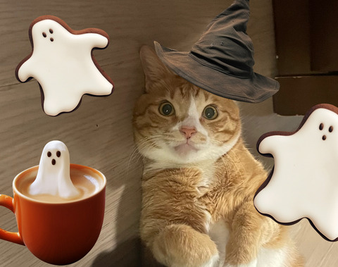 KakaoTalk_20250928_182521196_06