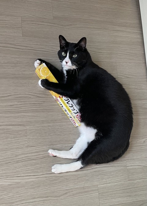 KakaoTalk_20240628_103312103_11