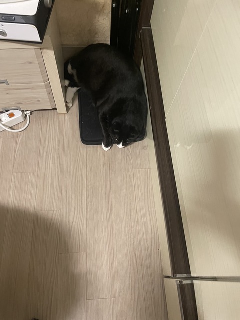 KakaoTalk_20250729_194729146_10