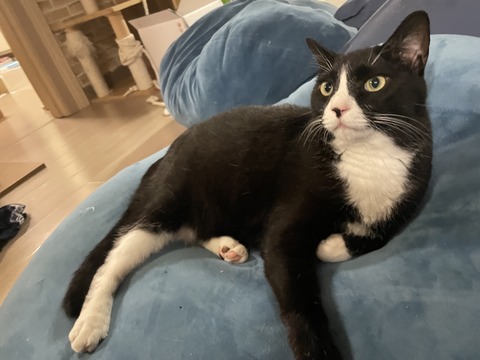 KakaoTalk_20240822_101522727