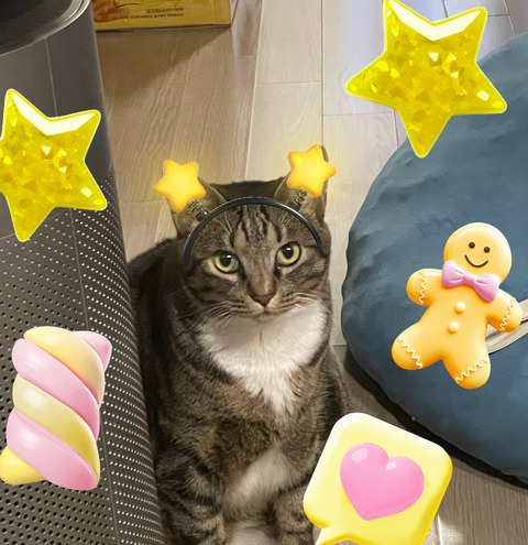 KakaoTalk_20250928_194217317