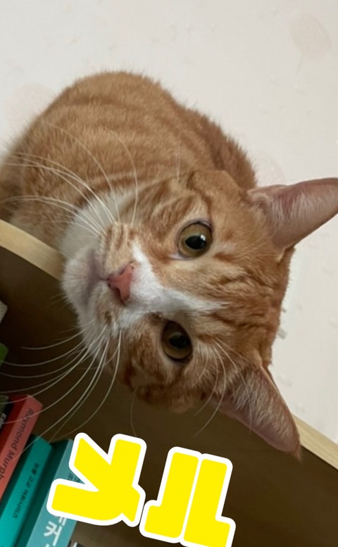 KakaoTalk_20221114_135217180_02