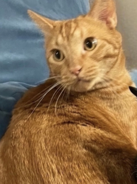 KakaoTalk_20240728_214501329_03