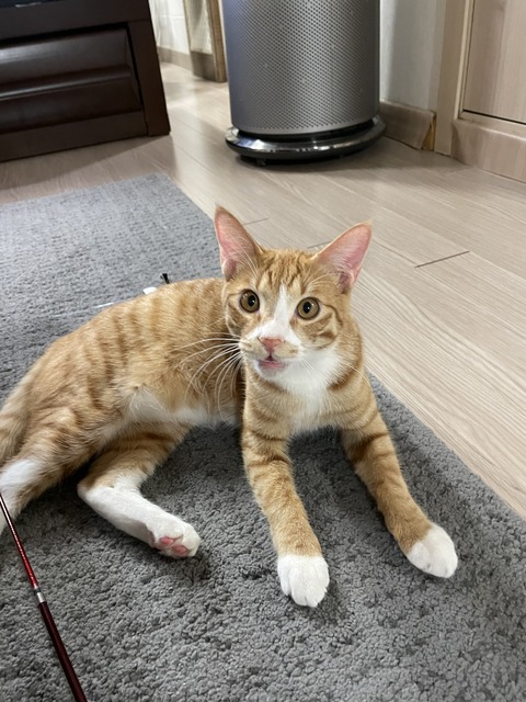 KakaoTalk_20210220_095347133