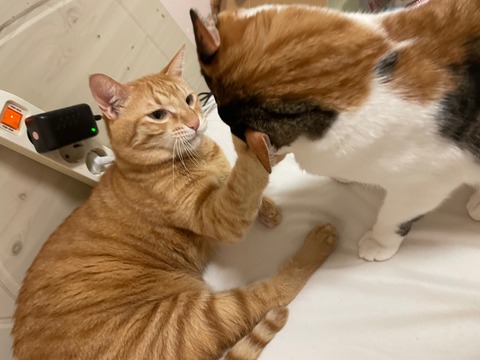 KakaoTalk_20240114_213943627_06