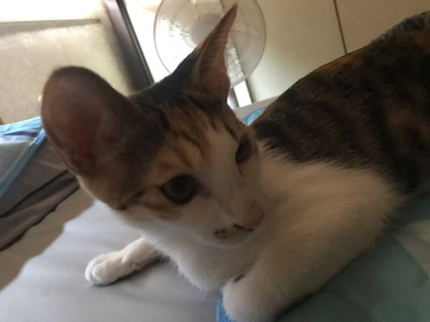 KakaoTalk_20200925_110812207_01