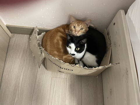 KakaoTalk_20230507_114324023