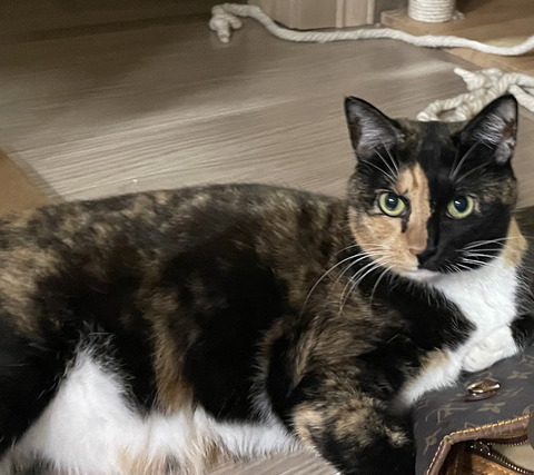 KakaoTalk_20241029_095635623_01