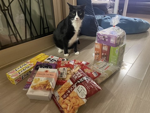 KakaoTalk_20240524_113236649_01