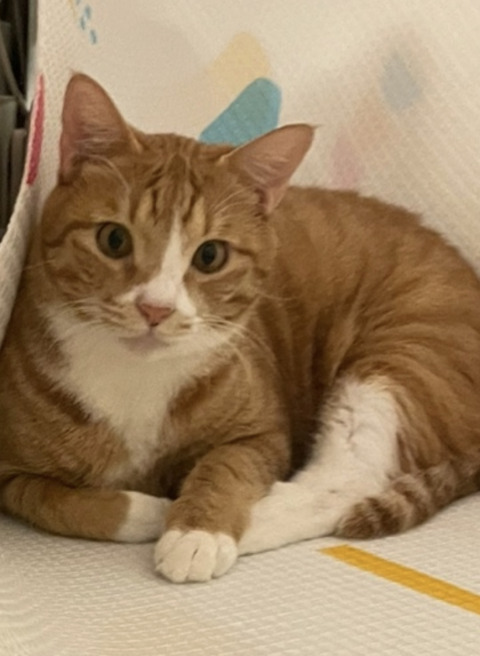 KakaoTalk_20241017_123016824