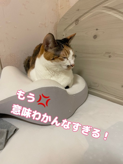 KakaoTalk_20240114_214752027