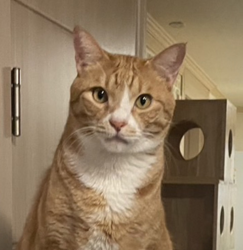 KakaoTalk_20250103_082221332_01