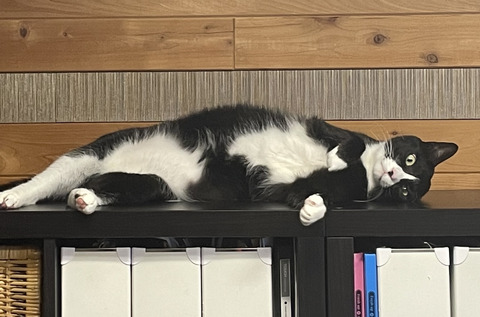 KakaoTalk_20230527_160624360