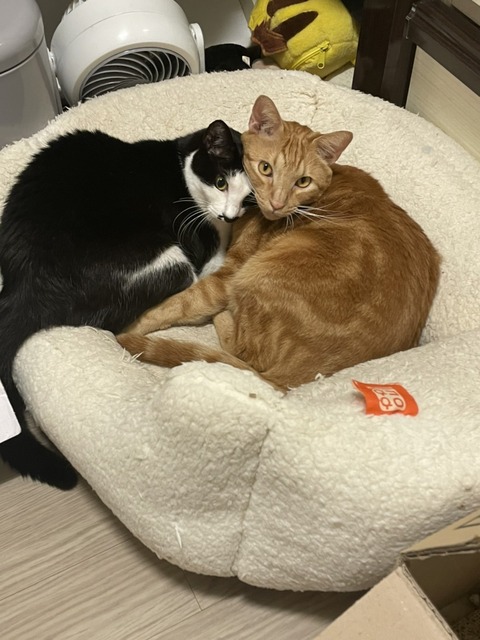 KakaoTalk_20230507_114701548