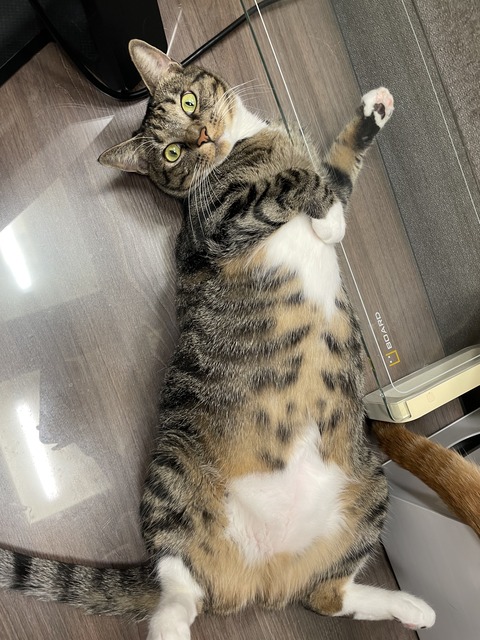 KakaoTalk_20230527_102238061