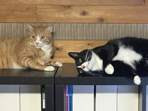 KakaoTalk_20250817_104228530_04