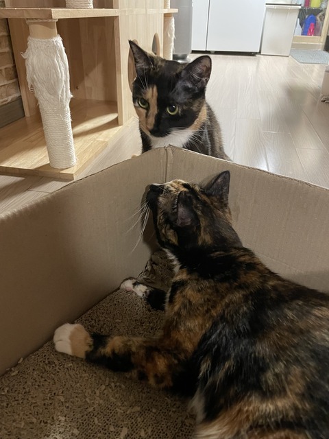 KakaoTalk_20230218_151016571