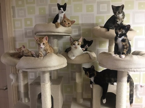 KakaoTalk_20201007_080712038