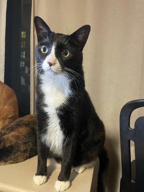 KakaoTalk_20250623_190332588_04