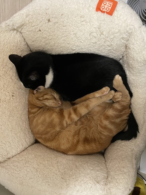 KakaoTalk_20240126_180910792_10