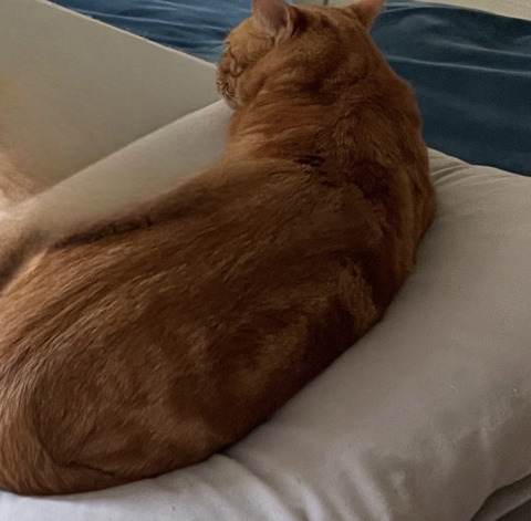 KakaoTalk_20230428_111152619