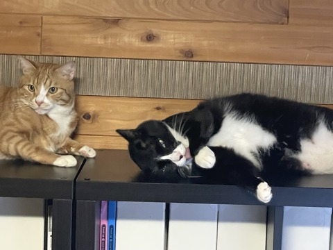 KakaoTalk_20250817_104228530_03