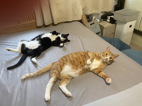 KakaoTalk_20240609_120039276