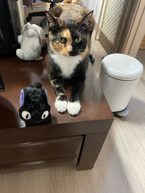 KakaoTalk_20240621_095332747_06