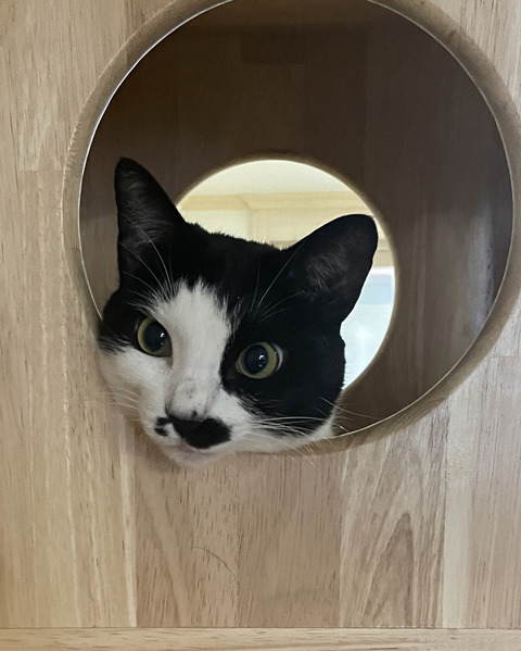 KakaoTalk_20240719_102613584