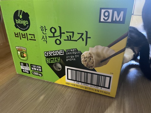 KakaoTalk_20240614_095539383_04