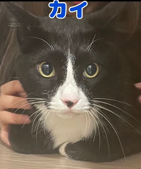 KakaoTalk_20240714_104401540