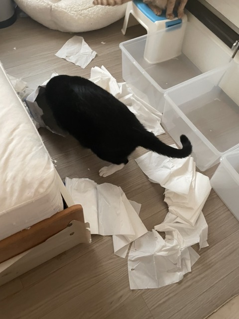 KakaoTalk_20231006_120000515