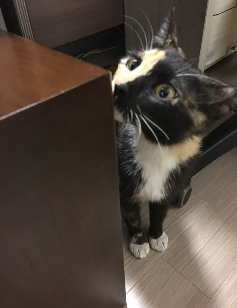 KakaoTalk_20250523_212152244_02