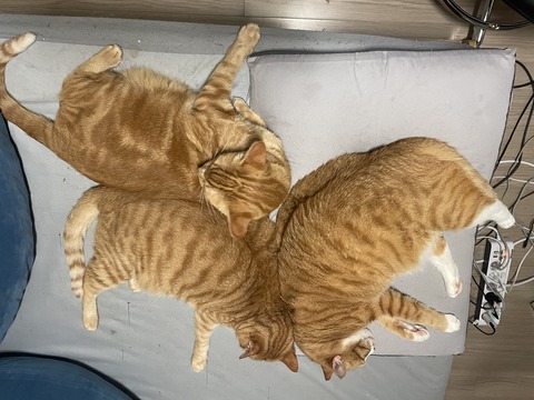 KakaoTalk_20250728_212208855_07