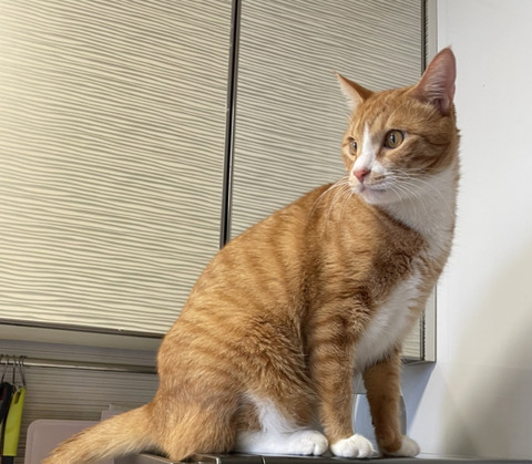 KakaoTalk_20230728_112910549