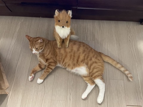KakaoTalk_20240614_095708295_09