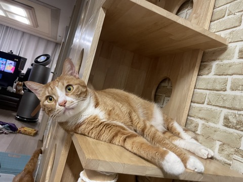 KakaoTalk_20231216_144521302_02