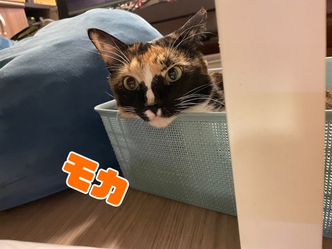 KakaoTalk_20231223_111159211