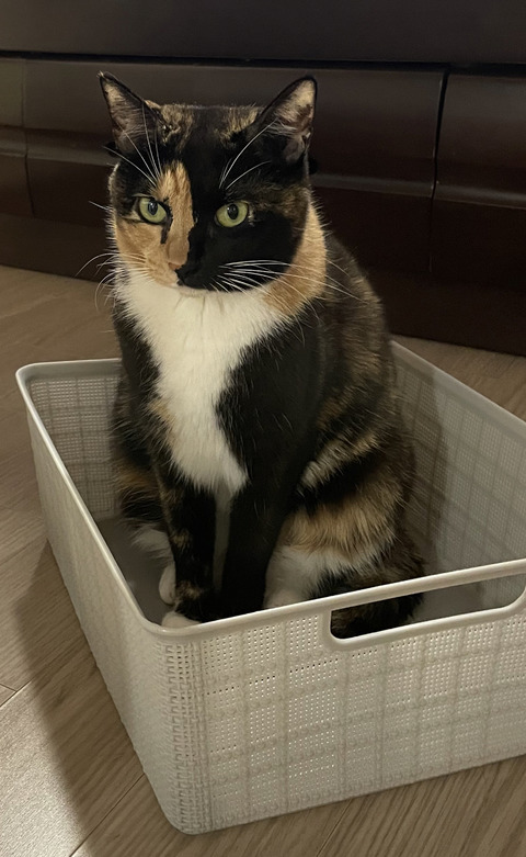 KakaoTalk_20240822_115622440