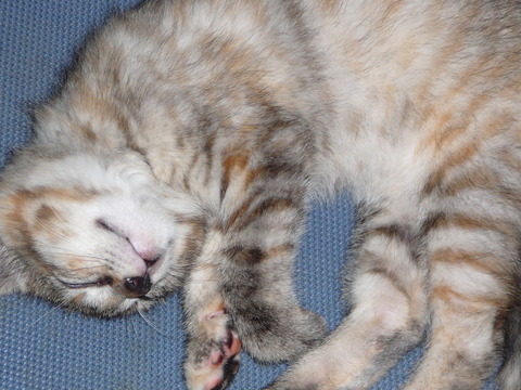 KakaoTalk_20210427_082240193