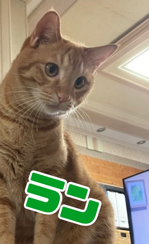 KakaoTalk_20221114_135217180_04